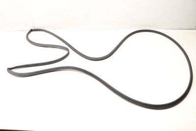 Outer Door Seal / Weather Stripping