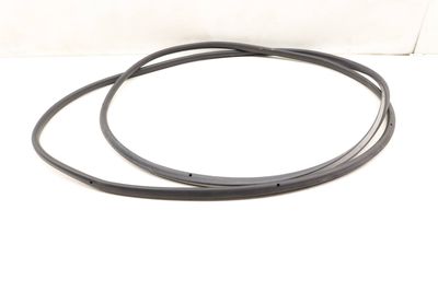 OUTER DOOR SEAL / WEATHER STRIPPING