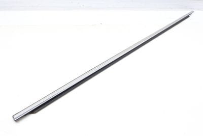Outer Door Window Slot Seal / Trim 3CM839476