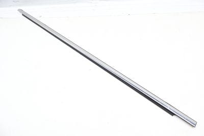 Outer Door Window Slot Seal / Trim 3CM839476