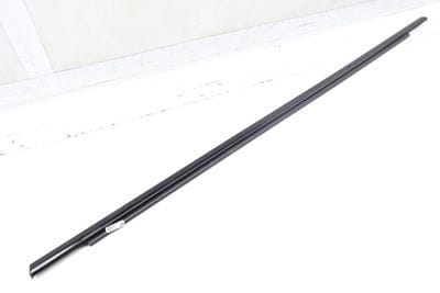 Outer Door Window Slot Seal / Trim 4M8839475C