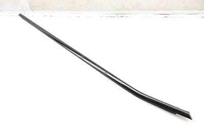 OUTER DOOR WINDOW SLOT SEAL / TRIM 7420818