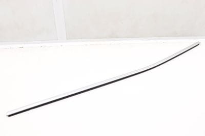 OUTER DOOR WINDOW SLOT SEAL / TRIM 7420843
