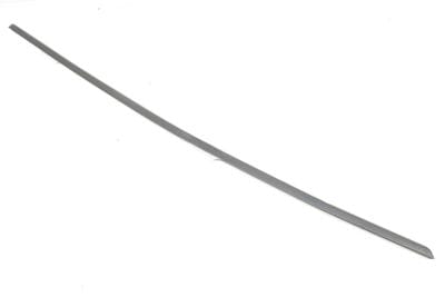 Outer Door Window Slot Seal / Trim 8P4837478