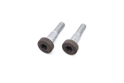 PARKING BRAKE MOTOR / ACTUATOR SCREW BOLT SET (2)