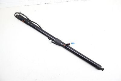 Power Tailgate Lift Strut / Shock