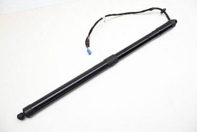 Power Tailgate Lift Strut / Shock