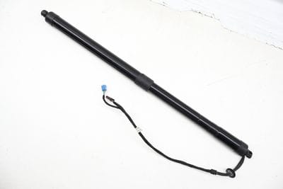 Power Tailgate Lift Strut / Shock
