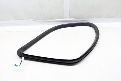 Quarter Panel Window Seal / Weather Stripping 1666809000