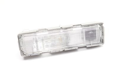 Roof Grab Handle Interior Light 1669066901