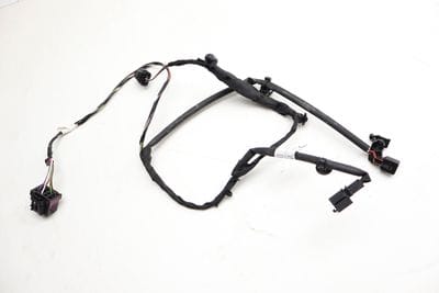 Seat Belt Warning System Wiring Harness 4M0971365BC