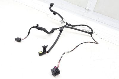 Seat Belt Warning System Wiring Harness 4M0971365BC