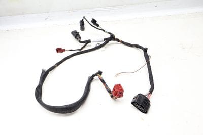 Seat Well Wiring Harness 3CN971392A