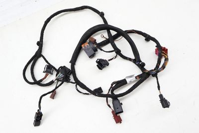 Seat Well Wiring Harness 3CN971392K