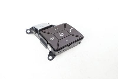 Steering Wheel Control Button / Switch 1669051900