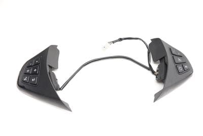 STEERING WHEEL CONTROL SWITCH SET 6965475