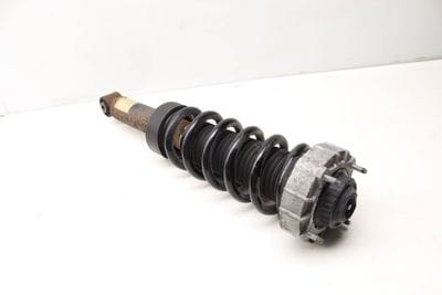 Strut / Shock Absorber Assembly 7L5513029G