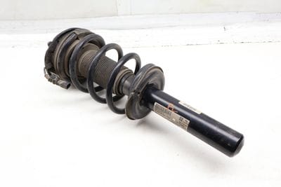 Strut / Shock Absorber Assembly