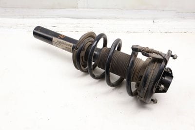 Strut / Shock Absorber Assembly