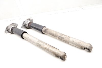 STRUT / SHOCK ABSORBER SET