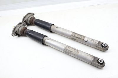 STRUT / SHOCK ABSORBER SET
