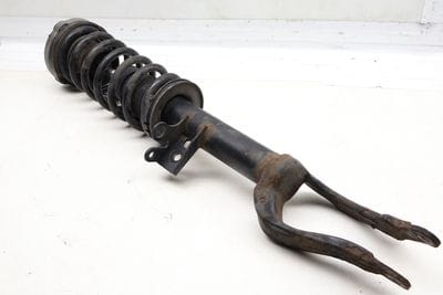 Strut Shock / Spring Assembly 31316789361