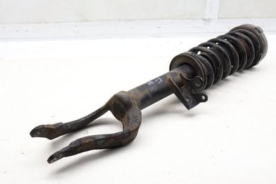 Strut Shock / Spring Assembly 31316789362
