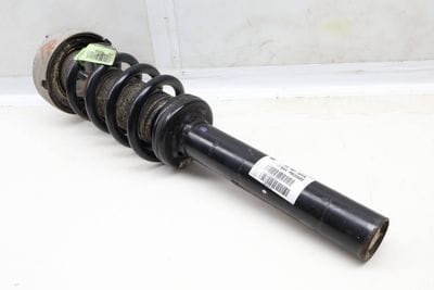 Strut Shock / Spring Assembly 31316851745