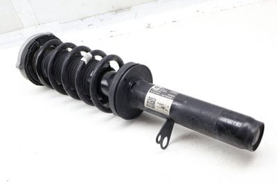 Strut Shock / Spring Assembly 31316866614