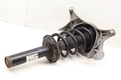 Strut Shock / Spring Assembly 8R0413031BA