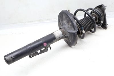 Strut Shock / Spring Assembly