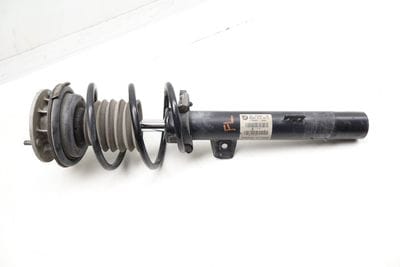 Strut / Spring Assembly 31316784917