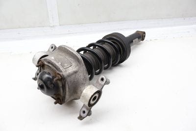 Strut / Spring Assembly 7P6513029BG