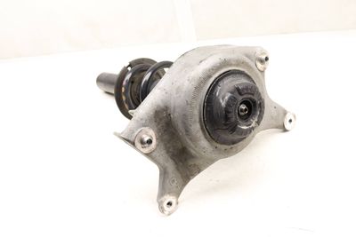 STRUT / SPRING ASSEMBLY 8T0413031AR