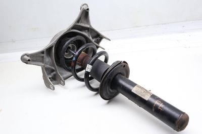 Strut / Spring Assembly