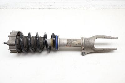 Suspension Strut Shock / Spring Assembly