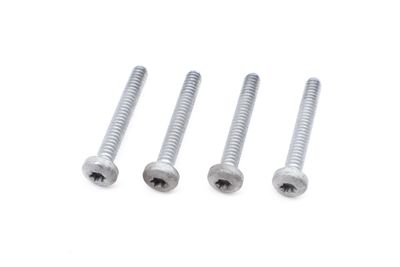 Throttle Body Screw / Bolt Set (4)