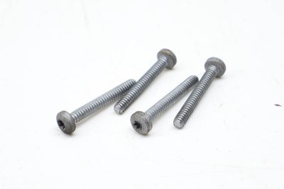 Throttle Body Screw / Bolt Set (4)
