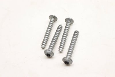 THROTTLE BODY SCREW / BOLT SET (4) N10626101