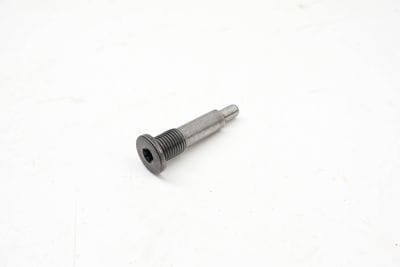 Timing Chain Guide Rail Screw / Bolt 11317582925
