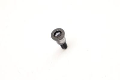 Torx Head Screw / Bolt N91130401