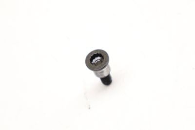 Torx Head Screw / Bolt N91130401