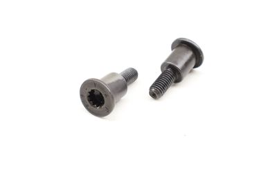 TORX HEAD SCREW / BOLT SET (2) N91130301