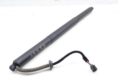 Trunk Hatch Strut / Shock 3CN827851H