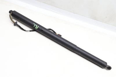 Trunk Hatch Strut / Shock