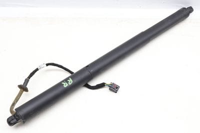 Trunk Hatch Strut / Shock