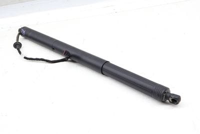 Trunk Hatch Strut / Shock