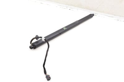 Trunk Hatch Strut / Shock