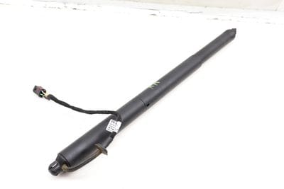 Trunk Hatch Strut / Shock