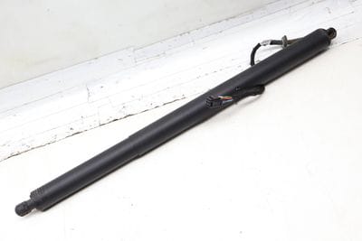 Trunk Hatch Strut / Shock